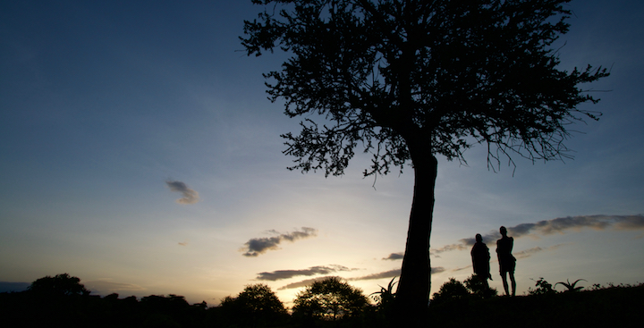Missionary Blogs, Shepherd's Staff